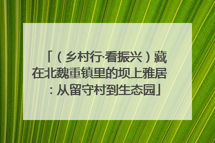 （乡村行·看振兴）藏在北魏重镇里的坝上雅居：从留守村到生态园
