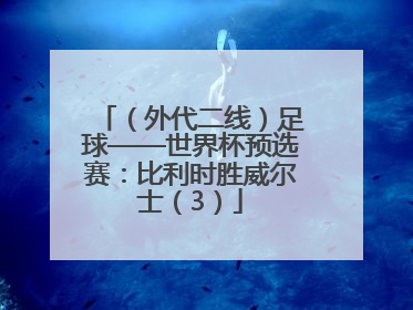（外代二线）足球——世界杯预选赛：比利时胜威尔士（3）