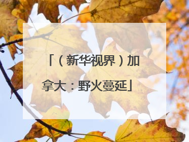 （新华视界）加拿大：野火蔓延