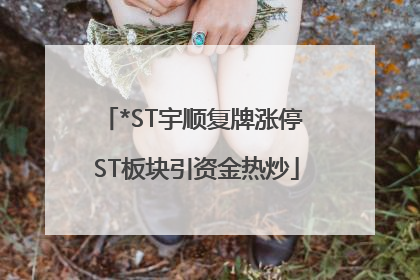 *ST宇顺复牌涨停 ST板块引资金热炒