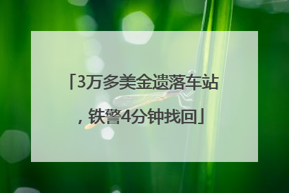 3万多美金遗落车站，铁警4分钟找回