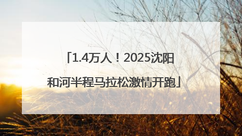 1.4万人！2025沈阳和河半程马拉松激情开跑