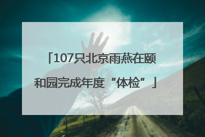 107只北京雨燕在颐和园完成年度“体检”