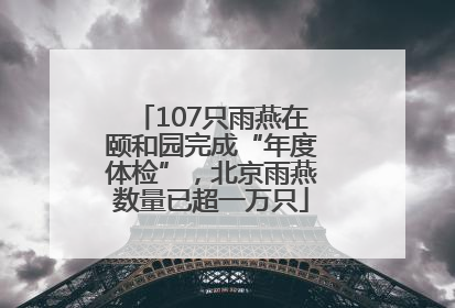 107只雨燕在颐和园完成“年度体检”，北京雨燕数量已超一万只