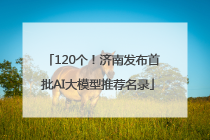 120个！济南发布首批AI大模型推荐名录