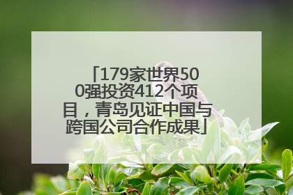 179家世界500强投资412个项目，青岛见证中国与跨国公司合作成果