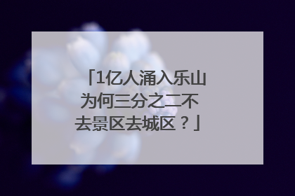 1亿人涌入乐山 为何三分之二不去景区去城区？