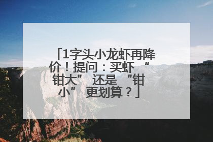 1字头小龙虾再降价！提问：买虾 “钳大” 还是 “钳小” 更划算？