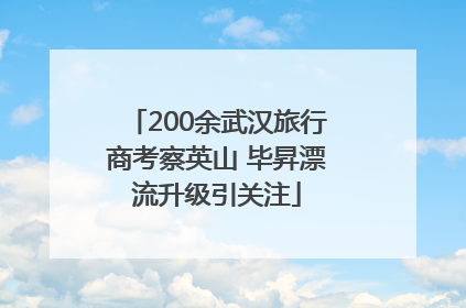 200余武汉旅行商考察英山 毕昇漂流升级引关注
