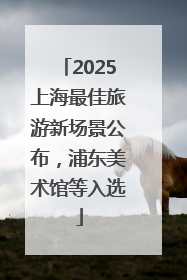 2025上海最佳旅游新场景公布，浦东美术馆等入选