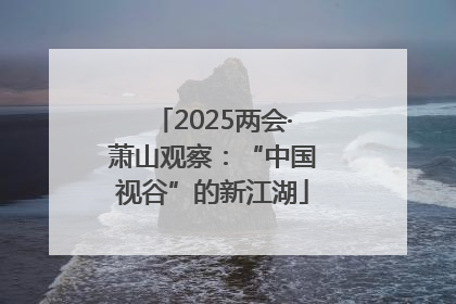 2025两会·萧山观察：“中国视谷”的新江湖