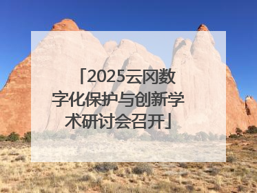 2025云冈数字化保护与创新学术研讨会召开