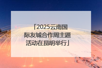 2025云南国际友城合作周主题活动在昆明举行