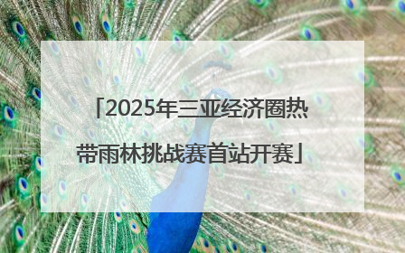 2025年三亚经济圈热带雨林挑战赛首站开赛