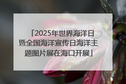 2025年世界海洋日暨全国海洋宣传日海洋主题图片展在海口开展