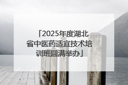 2025年度湖北省中医药适宜技术培训班圆满举办