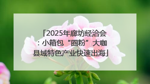 2025年廊坊经洽会：小箱包“圈粉”大咖 县域特色产业快速出海
