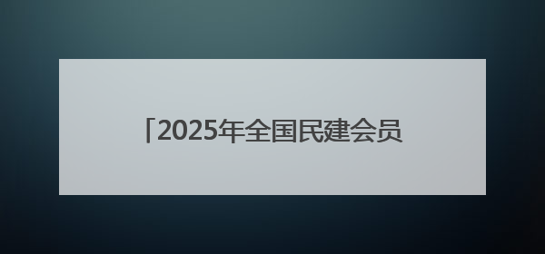 2025年全国民建会员企业家岳阳行活动举行