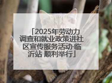 2025年劳动力调查和就业政策进社区宣传服务活动·临沂站 顺利举行