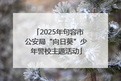 2025年句容市公安局“向日葵”少年警校主题活动