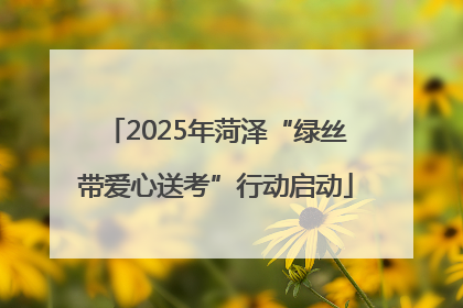 2025年菏泽“绿丝带爱心送考”行动启动