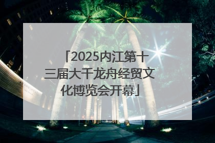 2025内江第十三届大千龙舟经贸文化博览会开幕