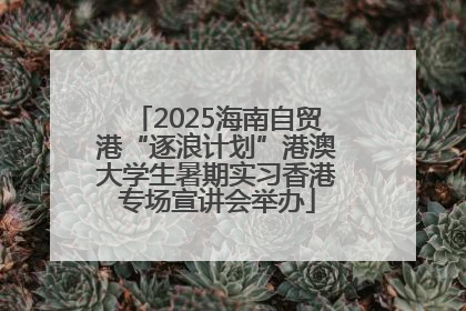 2025海南自贸港“逐浪计划”港澳大学生暑期实习香港专场宣讲会举办