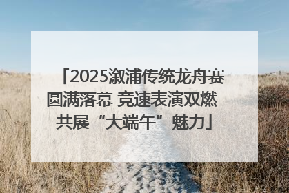 2025溆浦传统龙舟赛圆满落幕 竞速表演双燃 共展“大端午”魅力
