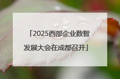 2025西部企业数智发展大会在成都召开