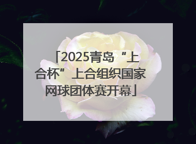 2025青岛“上合杯”上合组织国家网球团体赛开幕