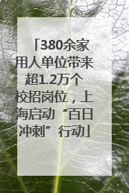 380余家用人单位带来超1.2万个校招岗位，上海启动“百日冲刺”行动