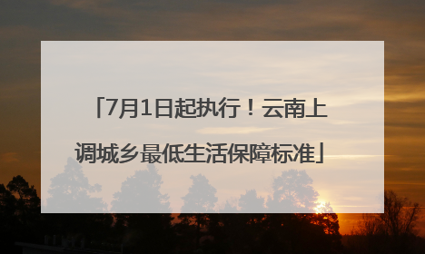7月1日起执行！云南上调城乡最低生活保障标准