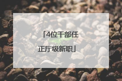 4位干部任正厅级新职