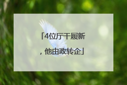 4位厅干履新，他由政转企