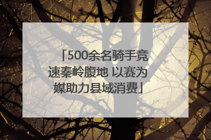 500余名骑手竞速秦岭腹地 以赛为媒助力县域消费