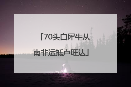 70头白犀牛从南非运抵卢旺达