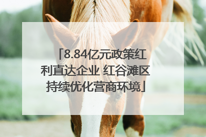 8.84亿元政策红利直达企业 红谷滩区持续优化营商环境