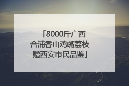 8000斤广西合浦香山鸡嘴荔枝赠西安市民品鉴