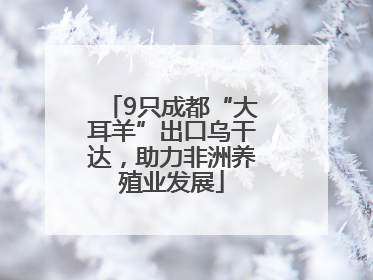 9只成都“大耳羊”出口乌干达，助力非洲养殖业发展