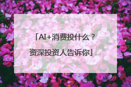 AI+消费投什么？资深投资人告诉你