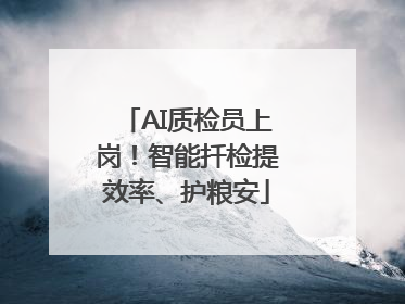 AI质检员上岗！智能扦检提效率、护粮安