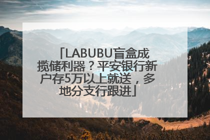 LABUBU盲盒成揽储利器？平安银行新户存5万以上就送，多地分支行跟进