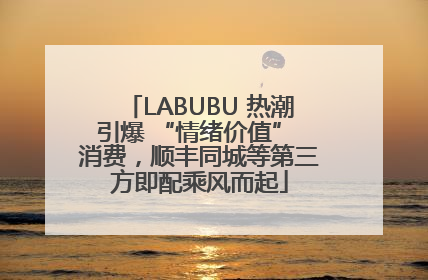LABUBU 热潮引爆 “情绪价值” 消费，顺丰同城等第三方即配乘风而起